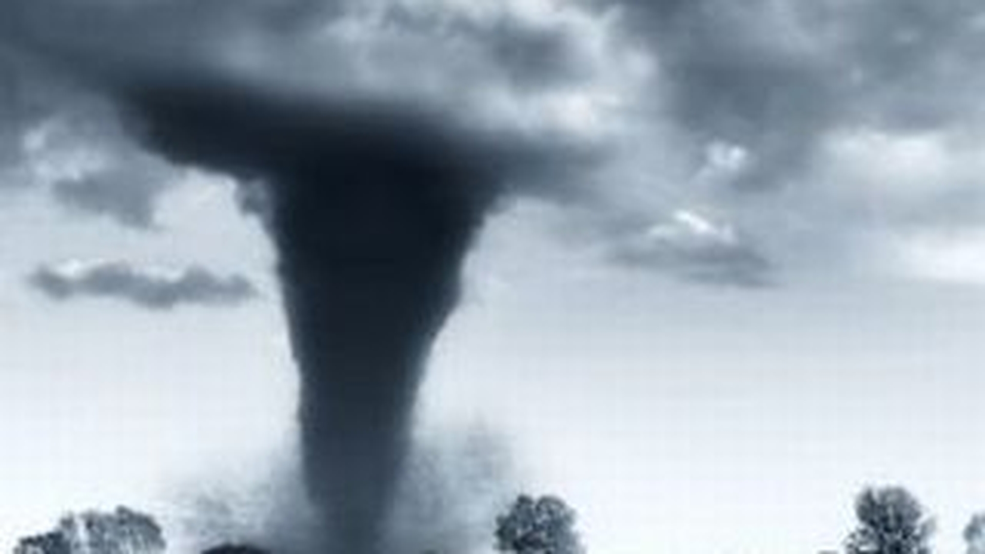 VIDEO Tornada in Bistrita-Nasaud: acoperisurile a doua case si mai multi copaci, luate pe sus!
