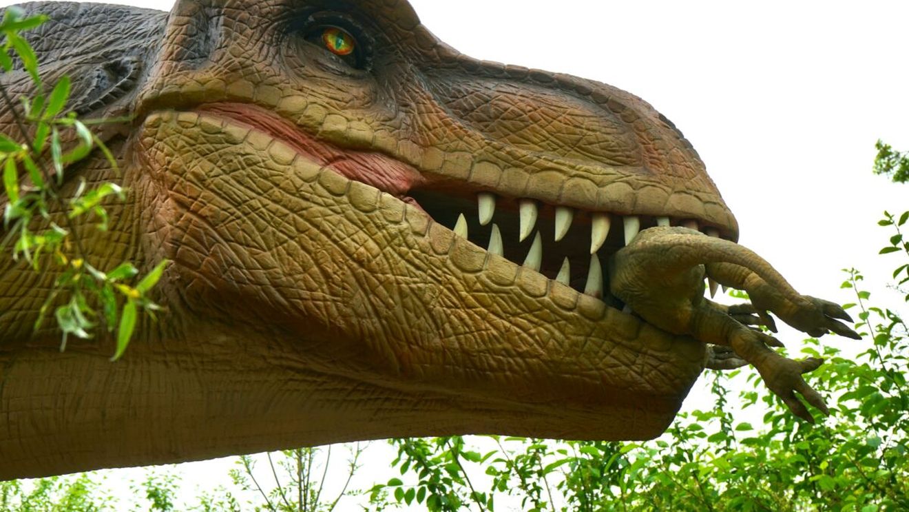Tyrannosaurus rex avea pene? Descoperirile din China care au schimbat imaginea „reptilei perfecte”