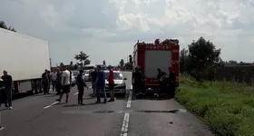 Galerie foto - poza 1