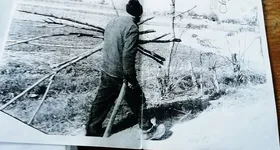 Galerie foto - poza 3