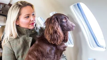 Avioane private pentru animalele de companie răsfăţate! Această companie aeriană a lansat un serviciu pentru iubitorii animalelor! 
