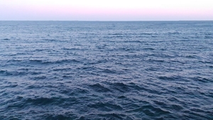 Fenomen neobișnuit în Marea Neagră. De necrezut ce au găsit doi pescari lângă Portul Constanța