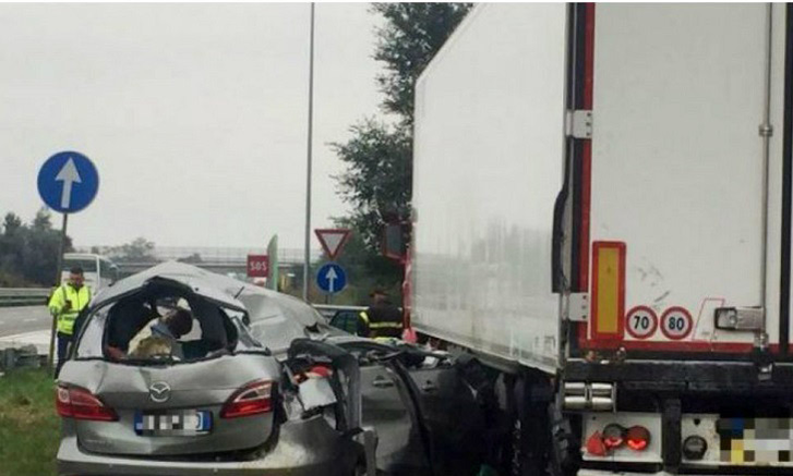 Maya nu a avut nici o şansă după impactul cu camionul