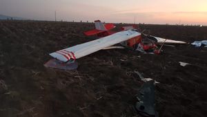 Doi oameni au murit după ce un avion s-a prăbuşit în judeţul Arad