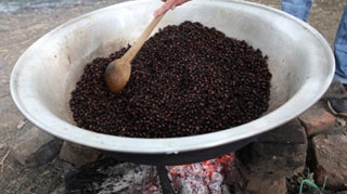 Lipsa de alimente va face omenirea ca pana in 2030 sa consume insecte