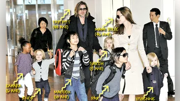 Familionul Jolie-Pitt s-a dus la japonezi