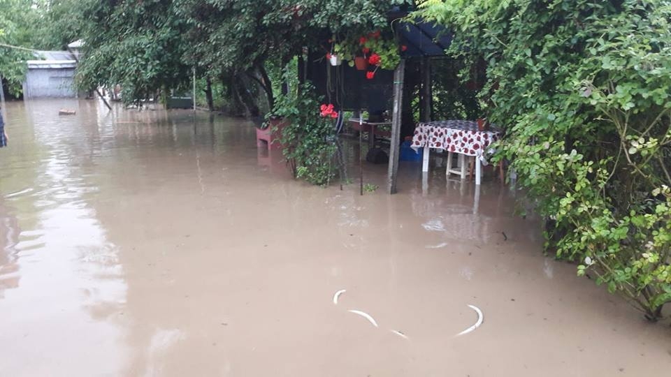Dezastru în mai multe județe ale țării, după inundații! Reacția MAI