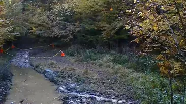 Pădurar împușcat mortal de hoți. Informații uluitoare despre drama din Maramureș: ”S-a auzit un foc de armă și…”