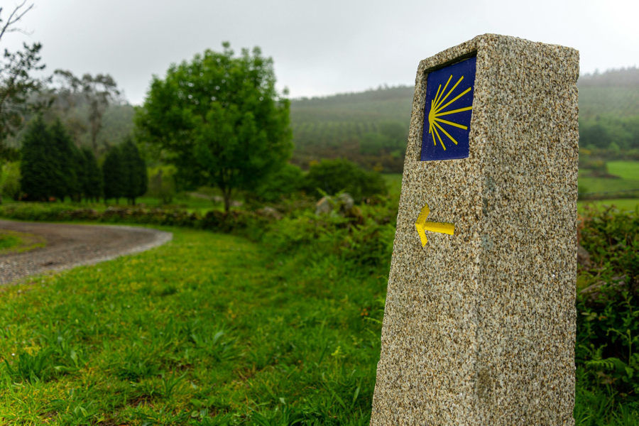 Simbolul pelerinilor spre Compostella
