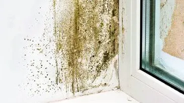 Cum scapati ieftin de igrasie