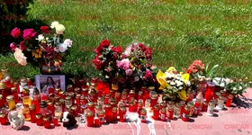 Galerie foto - poza 3