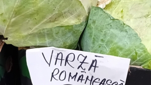 "Samsarii din piețe au ridicat prețul" Cu câți lei se vinde 1 kg de varză românească, acum, la sfârșit de noiembrie