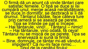 BANC | O firmă dă anunț că vinde țânțari care satisfac femeile