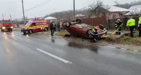 Galerie foto - poza 1