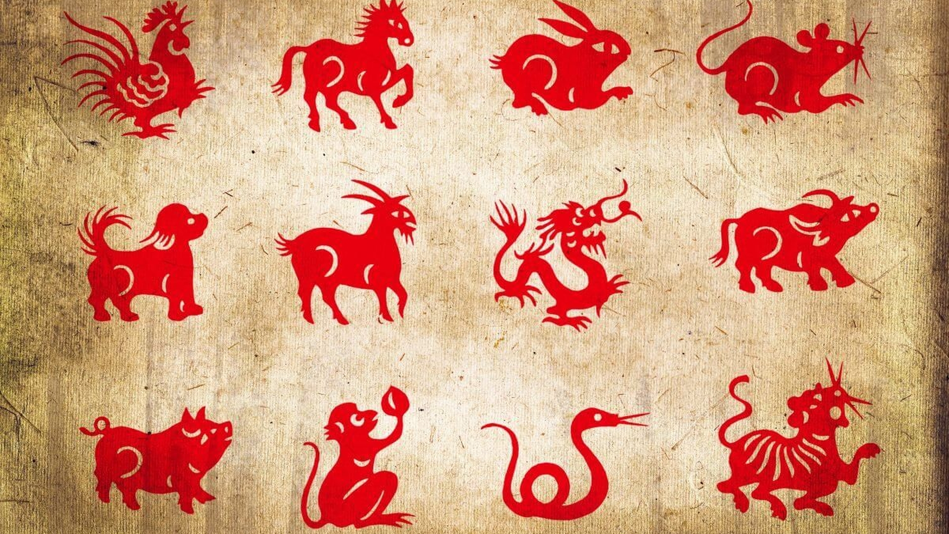 Horoscopul chinezesc pentru săptămâna 15-21 februarie. Gena Rusu, avertizări pentru nativii zodiilor Șarpe și Tigru