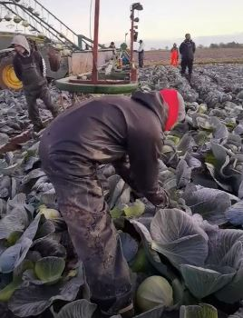 Român plecat la muncă în Anglia, mesaj dur pentru prieteni: “Aici lucrez prin gheață, frig, zăpadă… Stați cu mine aici ca să vă dau bere, de Crăciun, când mă întorc acasă?!”