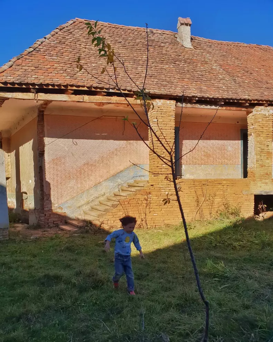 Dana Rogoz, vecină cu Regele Charles! Cum arată casa din Viscri. FOTO