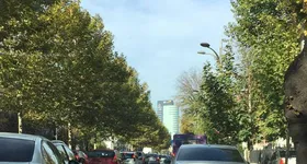 Galerie foto - poza 1