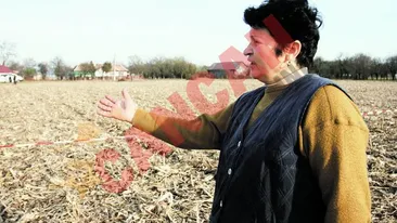 Pilotii mi-au salvat viata