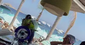 Galerie foto - poza 4