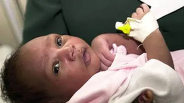 Un maidanez a salvat un bebelus abandonat intr-o padure