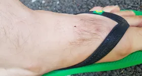 Galerie foto - poza 2