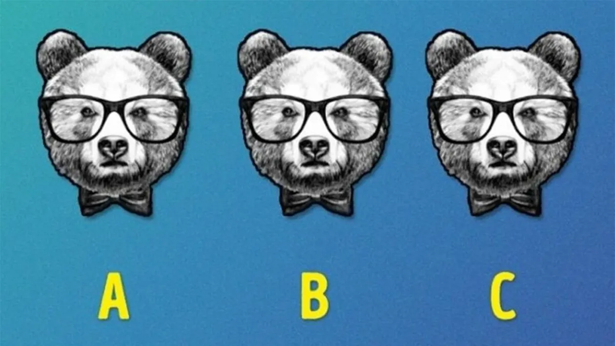 Test de logică | Care urs este diferit de ceilalți doi?