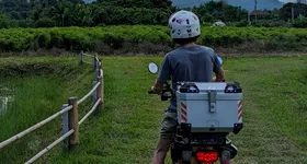 Galerie foto - poza 4