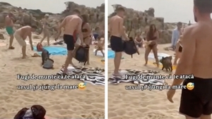 După atacul ursului din Bucegi, un alt animal sălbatic a luat cu asalt litoralul. Turiștii de la Marea Neagra au fost îngroziți VIDEO