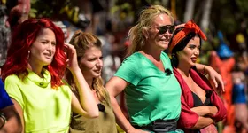 Galerie foto - poza 2