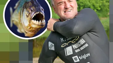 ”M-au mușcat peștii piranha de spate și...” Celebrul Martin Strel, deținătorul a cinci recorduri Guinness Book, a făcut dezvăluiri uluitoare pentru CANCAN.RO