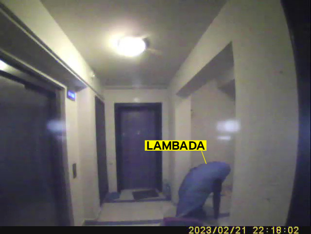 Lambada se ridică și va fugi (Foto: captură video)