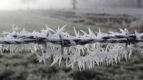 Valul de aer polar a intrat în România! Zona unde s-a așternut zăpada