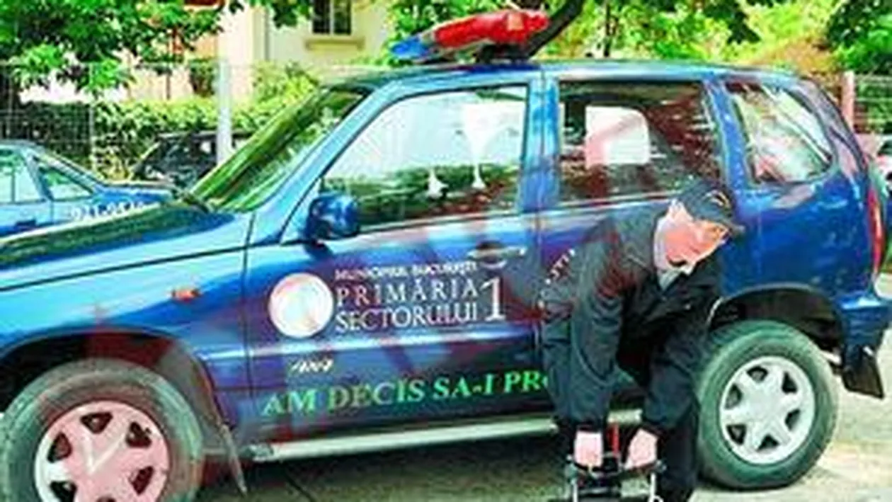 Ei vor vana cainii de pe strazi