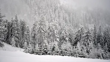 Informația care dă peste cap ancheta în cazul lui George, tânărul dispărut în Munții Bucegi. Salvamontiștii din Brașov au făcut totul public!