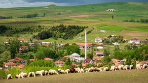 Satul din România unde casele se vând la prețuri incredibil de mici. O proprietate costă sub 10.000 de euro