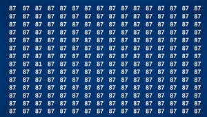 TEST IQ | Ești un geniu dacă poți identica numărul 81 în maximum 15 secunde