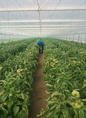 Simon Idita are 40 de ani şi face agricultură din tată-n fiu