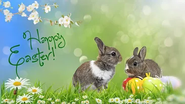 Mesaje şi urări de Paşte 2022. Cele mai inedite urări pentru cei dragi