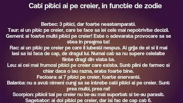 BANC | Câți pitici ai pe creier, în funcție de zodie