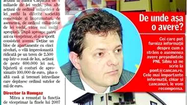 Nababul liberal de la Sibiu a fost demis