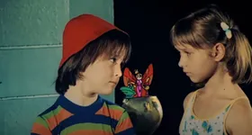 Galerie foto - poza 2