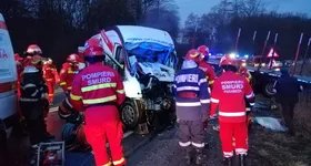 Galerie foto - poza 4