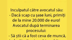BANCUL ZILEI | Inculpatul către avocat: "Dacă scap cu 6 luni, primiți de la mine 20.000 de euro"