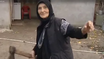 VIDEO Poveste rupta din basmele pentru copii! O batranica a ucis cu mainile goale un lup de 80 kg si a scapat doar cu zgarieturi
