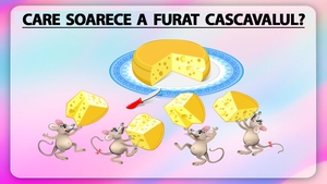 TEST IQ | Care dintre cei 4 șoricei a furat bucata de cașcaval?