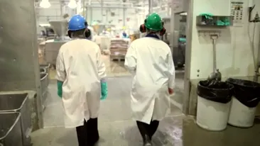 VIDEO ADEVARUL despre McDonalds! Imagini senzationale din fabrica in care se produc McNuggets! Vezi prin cate procese trece carnea