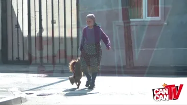 VIDEO NEBUNESC! Unde nu-i lesa, vai de picioare! Uite cum a putut sa isi plimbe cainele o batrana din Ferentari!