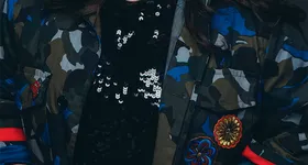 Galerie foto - poza 1