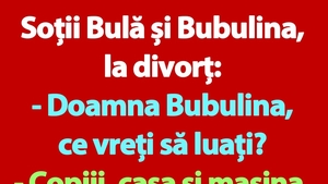 BANC | Soții Bulă și Bubulina, la divorț
